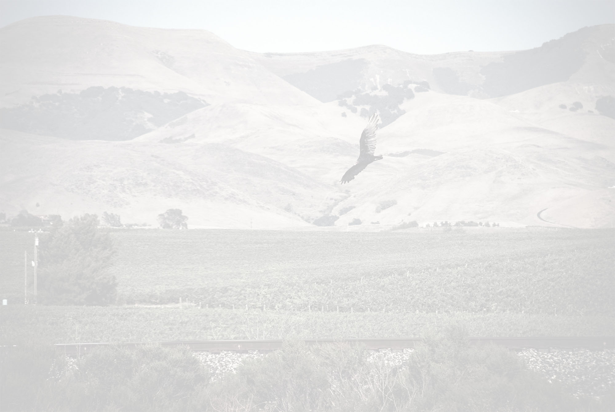Autry Cellars - Edna Valley, SLO Coast winery and vineyard